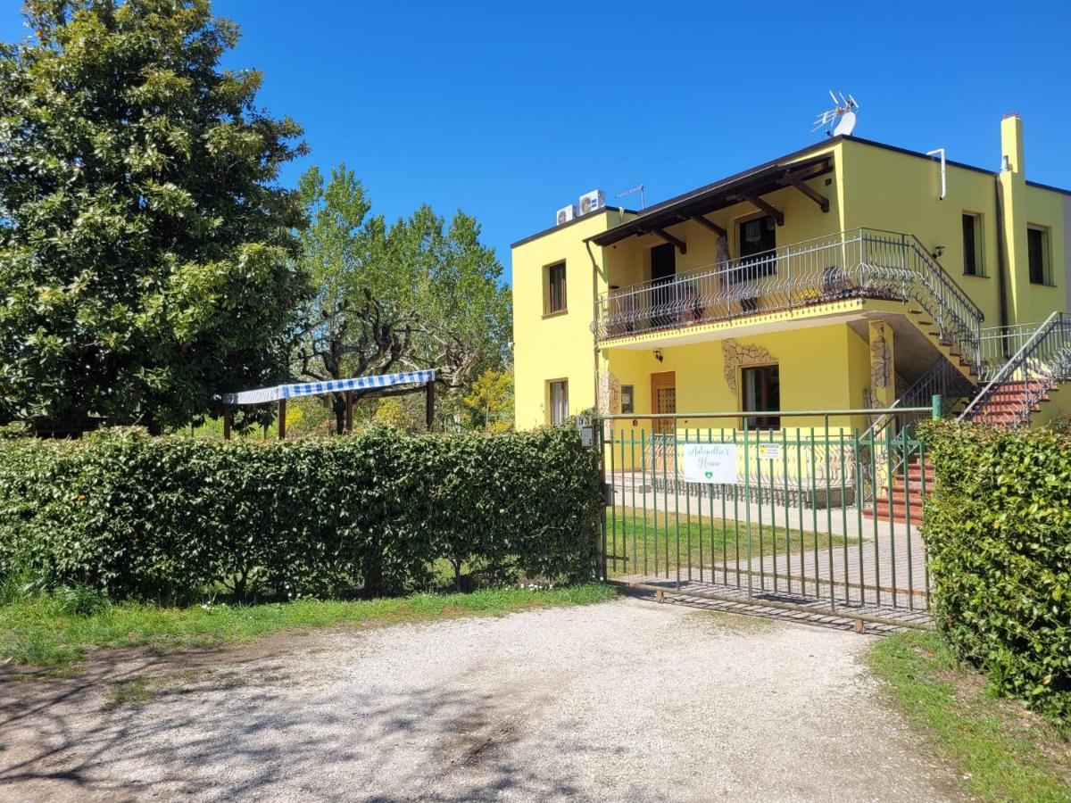 Apartment Antonella's Cavallino-Treporti
